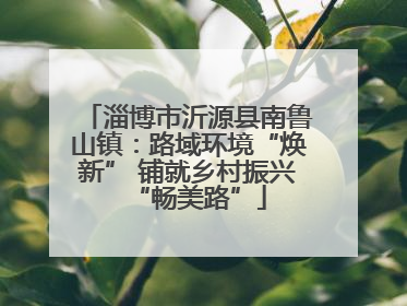 淄博市沂源县南鲁山镇：路域环境“焕新” 铺就乡村振兴“畅美路”
