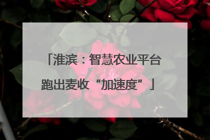 淮滨：智慧农业平台跑出麦收“加速度”