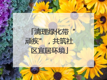 清理绿化带“顽疾”，共筑社区宜居环境