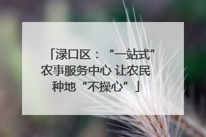 渌口区：“一站式”农事服务中心 让农民种地“不操心”