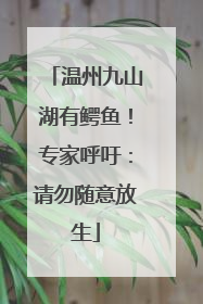 温州九山湖有鳄鱼！专家呼吁：请勿随意放生