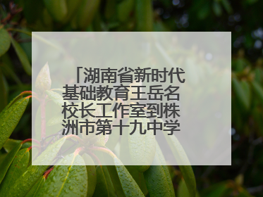 湖南省新时代基础教育王岳名校长工作室到株洲市第十九中学开展研修活动