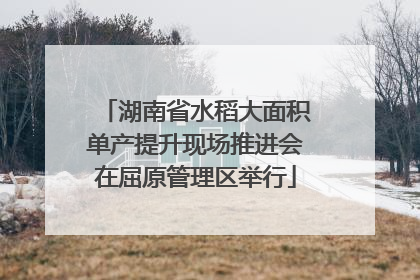 湖南省水稻大面积单产提升现场推进会在屈原管理区举行