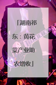 湖南祁东：黄花菜产业助农增收