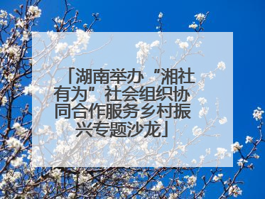 湖南举办“湘社有为”社会组织协同合作服务乡村振兴专题沙龙