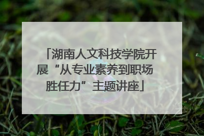 湖南人文科技学院开展“从专业素养到职场胜任力”主题讲座