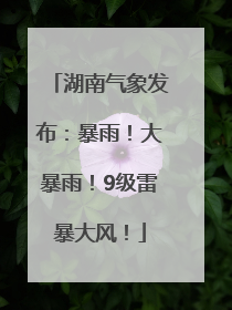 湖南气象发布：暴雨！大暴雨！9级雷暴大风！