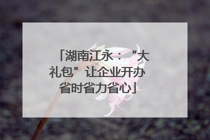 湖南江永：“大礼包”让企业开办省时省力省心