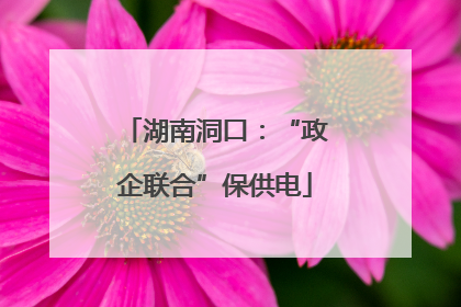 湖南洞口：“政企联合”保供电
