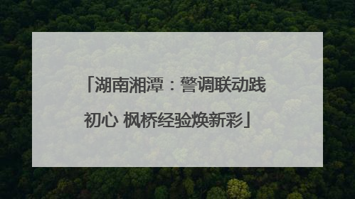 湖南湘潭：警调联动践初心 枫桥经验焕新彩