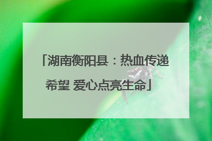 湖南衡阳县：热血传递希望 爱心点亮生命