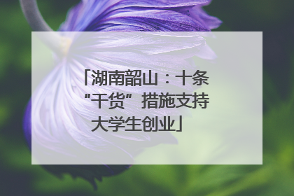 湖南韶山：十条“干货”措施支持大学生创业