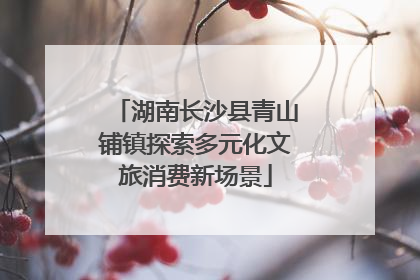 湖南长沙县青山铺镇探索多元化文旅消费新场景