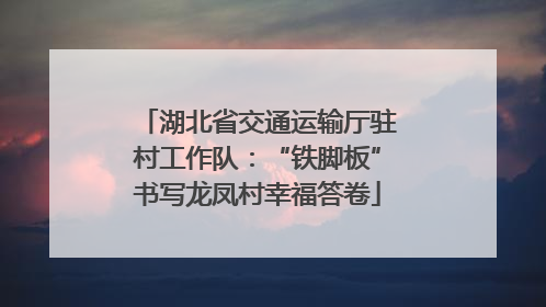 湖北省交通运输厅驻村工作队：“铁脚板”书写龙凤村幸福答卷