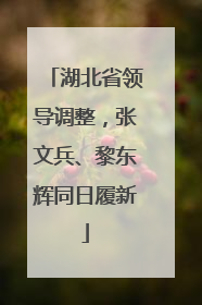 湖北省领导调整，张文兵、黎东辉同日履新