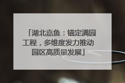 湖北嘉鱼：锚定满园工程，多维度发力推动园区高质量发展
