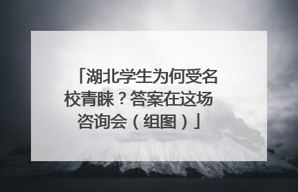 湖北学生为何受名校青睐？答案在这场咨询会（组图）
