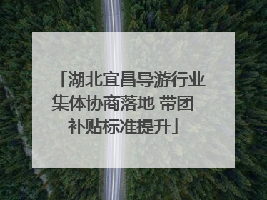 湖北宜昌导游行业集体协商落地 带团补贴标准提升