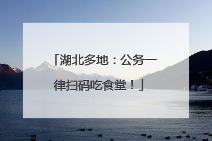 湖北多地：公务一律扫码吃食堂！