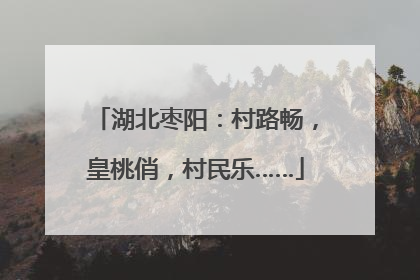 湖北枣阳：村路畅，皇桃俏，村民乐……