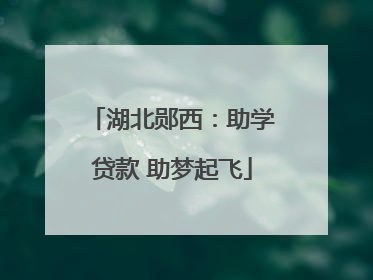 湖北郧西：助学贷款 助梦起飞