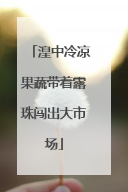 湟中冷凉果蔬带着露珠闯出大市场