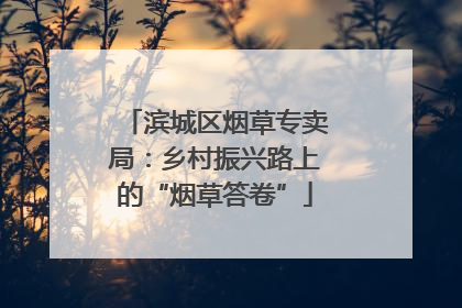 滨城区烟草专卖局：乡村振兴路上的“烟草答卷”