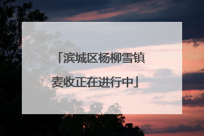 滨城区杨柳雪镇麦收正在进行中