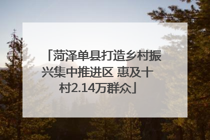 菏泽单县打造乡村振兴集中推进区 惠及十村2.14万群众