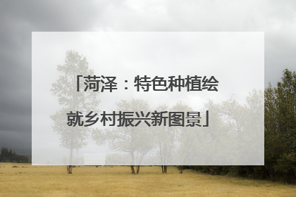 菏泽：特色种植绘就乡村振兴新图景