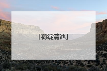 荷绽清池