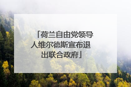 荷兰自由党领导人维尔德斯宣布退出联合政府