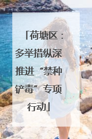 荷塘区：多举措纵深推进“禁种铲毒”专项行动