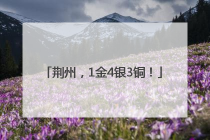荆州，1金4银3铜！