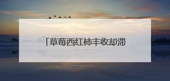 草莓西红柿丰收却滞销 果农在线等援手