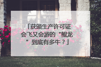 获颁生产许可证 会飞又会游的“鲲龙”到底有多牛？