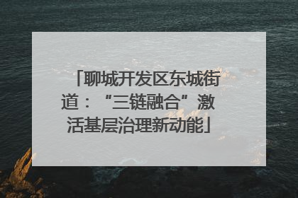 聊城开发区东城街道：“三链融合”激活基层治理新动能