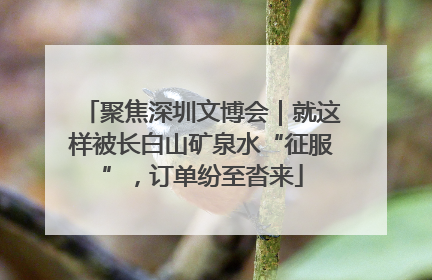 聚焦深圳文博会｜就这样被长白山矿泉水“征服”，订单纷至沓来