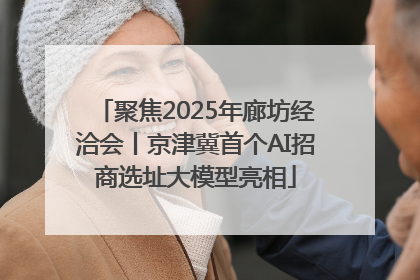聚焦2025年廊坊经洽会丨京津冀首个AI招商选址大模型亮相