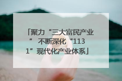 聚力“三大富民产业” 不断深化“1131”现代化产业体系