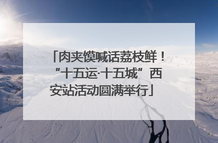 肉夹馍喊话荔枝鲜！“十五运·十五城”西安站活动圆满举行