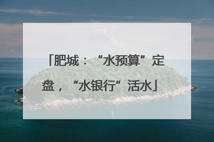 肥城：“水预算”定盘，“水银行”活水