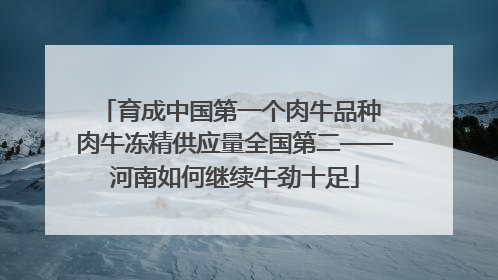 育成中国第一个肉牛品种 肉牛冻精供应量全国第二——河南如何继续牛劲十足