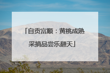 自贡富顺：黄桃成熟 采摘品尝乐翻天