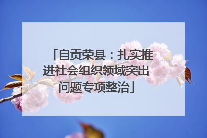 自贡荣县：扎实推进社会组织领域突出问题专项整治