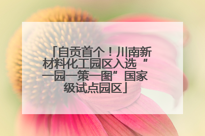 自贡首个！川南新材料化工园区入选“一园一策一图”国家级试点园区