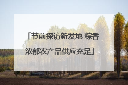 节前探访新发地 粽香浓郁农产品供应充足