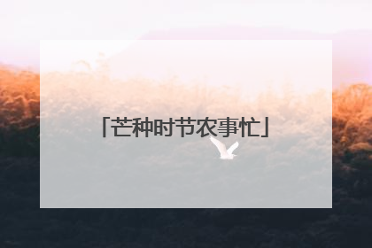 芒种时节农事忙
