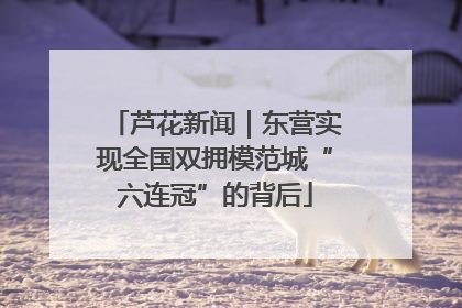 芦花新闻｜东营实现全国双拥模范城“六连冠”的背后