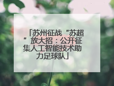 苏州征战“苏超”放大招：公开征集人工智能技术助力足球队